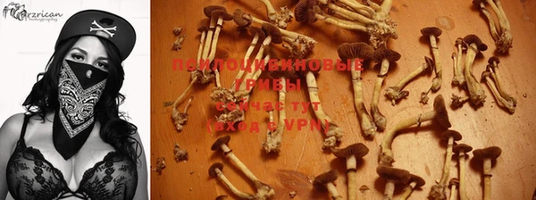 мескалин Беломорск